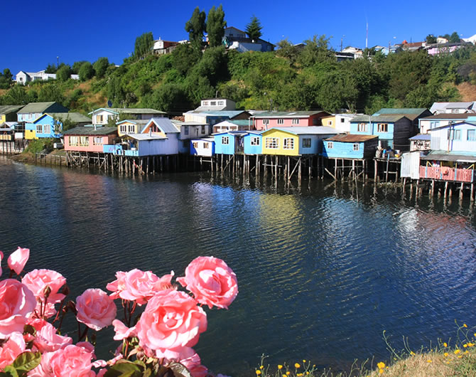 portfolio single project