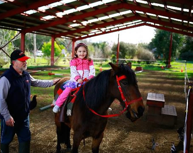 portfolio single project