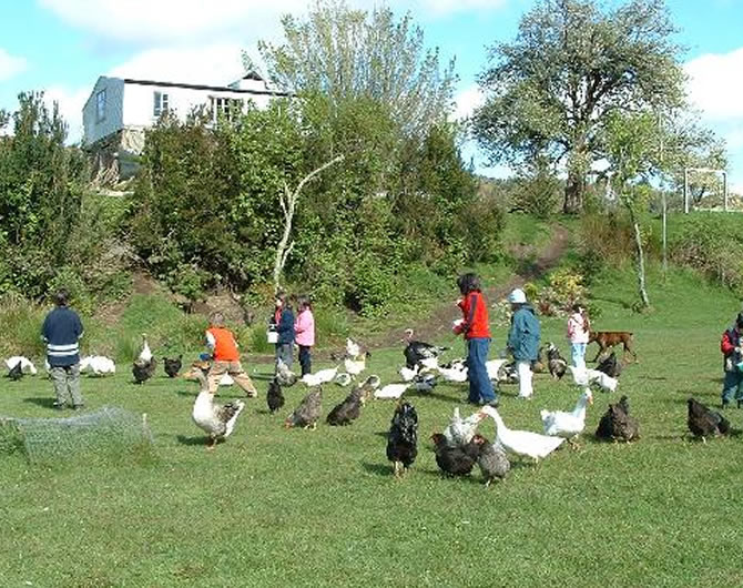 portfolio single project